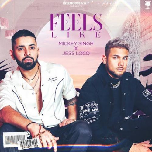 download Feels Like Mickey Singh mp3 song ringtone, Feels Like Mickey Singh full album download