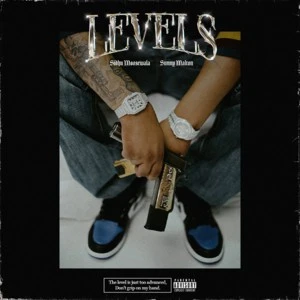 download Levels Sidhu Moose Wala mp3 song ringtone, Levels Sidhu Moose Wala full album download