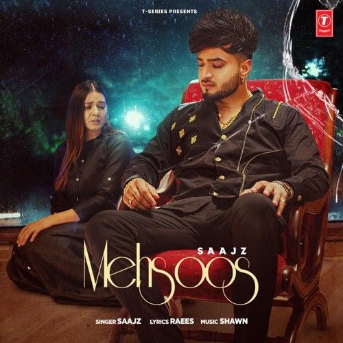 download Mehsoos Saajz mp3 song ringtone, Mehsoos Saajz full album download