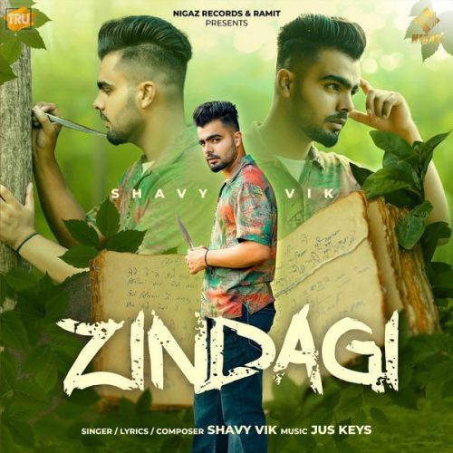 download Zindagi Shavy Vik mp3 song ringtone, Zindagi Shavy Vik full album download