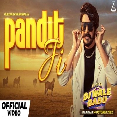 download Pandit Ji Gulzaar Chhaniwala mp3 song ringtone, Pandit Ji Gulzaar Chhaniwala full album download