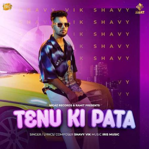 download Tenu Ki Pata Shavy Vik mp3 song ringtone, Tenu Ki Pata Shavy Vik full album download
