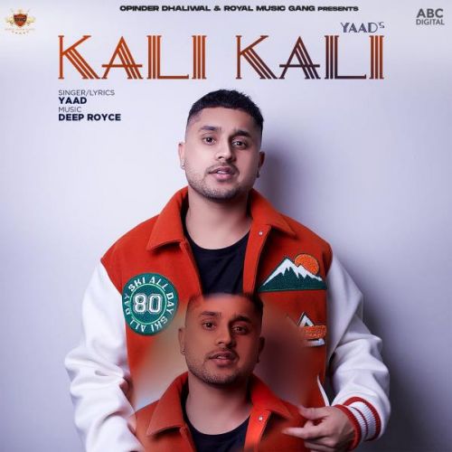 download Kali Kali Yaad mp3 song ringtone, Kali Kali Yaad full album download