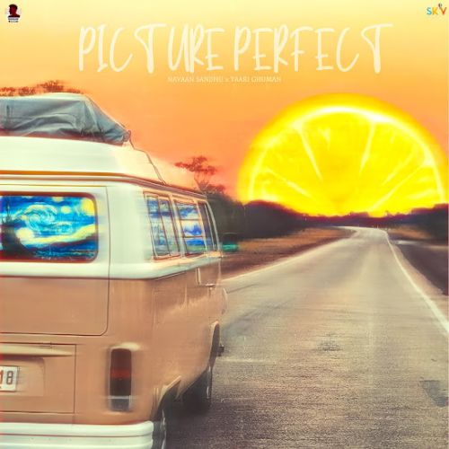download Picture Perfect Navaan Sandhu mp3 song ringtone, Picture Perfect Navaan Sandhu full album download