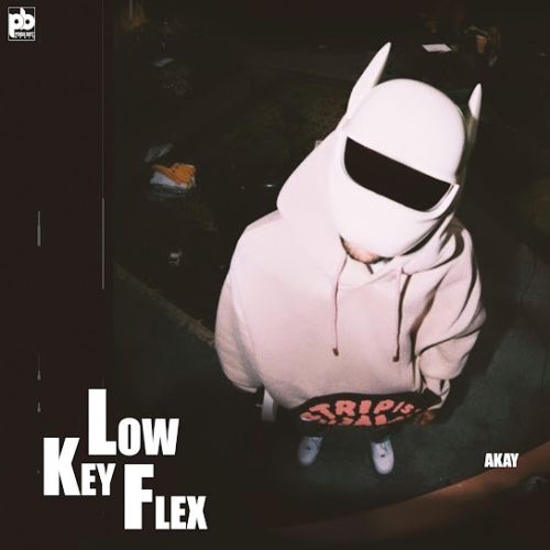 download Lowkey Flex A Kay mp3 song ringtone, Lowkey Flex A Kay full album download