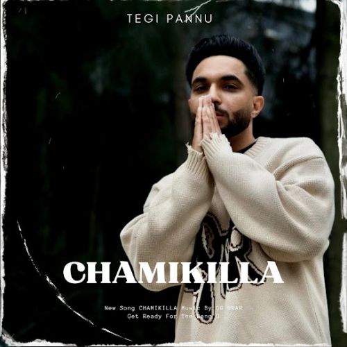 download Chamikilla Tegi Pannu mp3 song ringtone, Chamikilla Tegi Pannu full album download