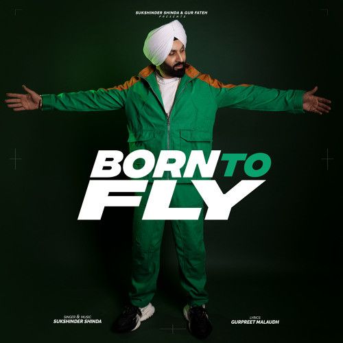 download Born To Fly Sukshinder Shinda mp3 song ringtone, Born To Fly Sukshinder Shinda full album download