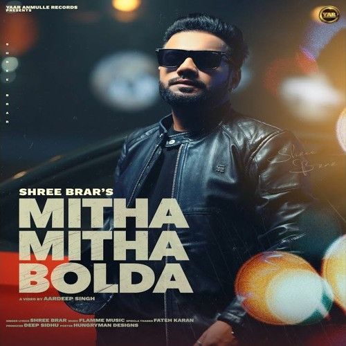 download Mitha Mitha Bolda Shree Brar mp3 song ringtone, Mitha Mitha Bolda Shree Brar full album download