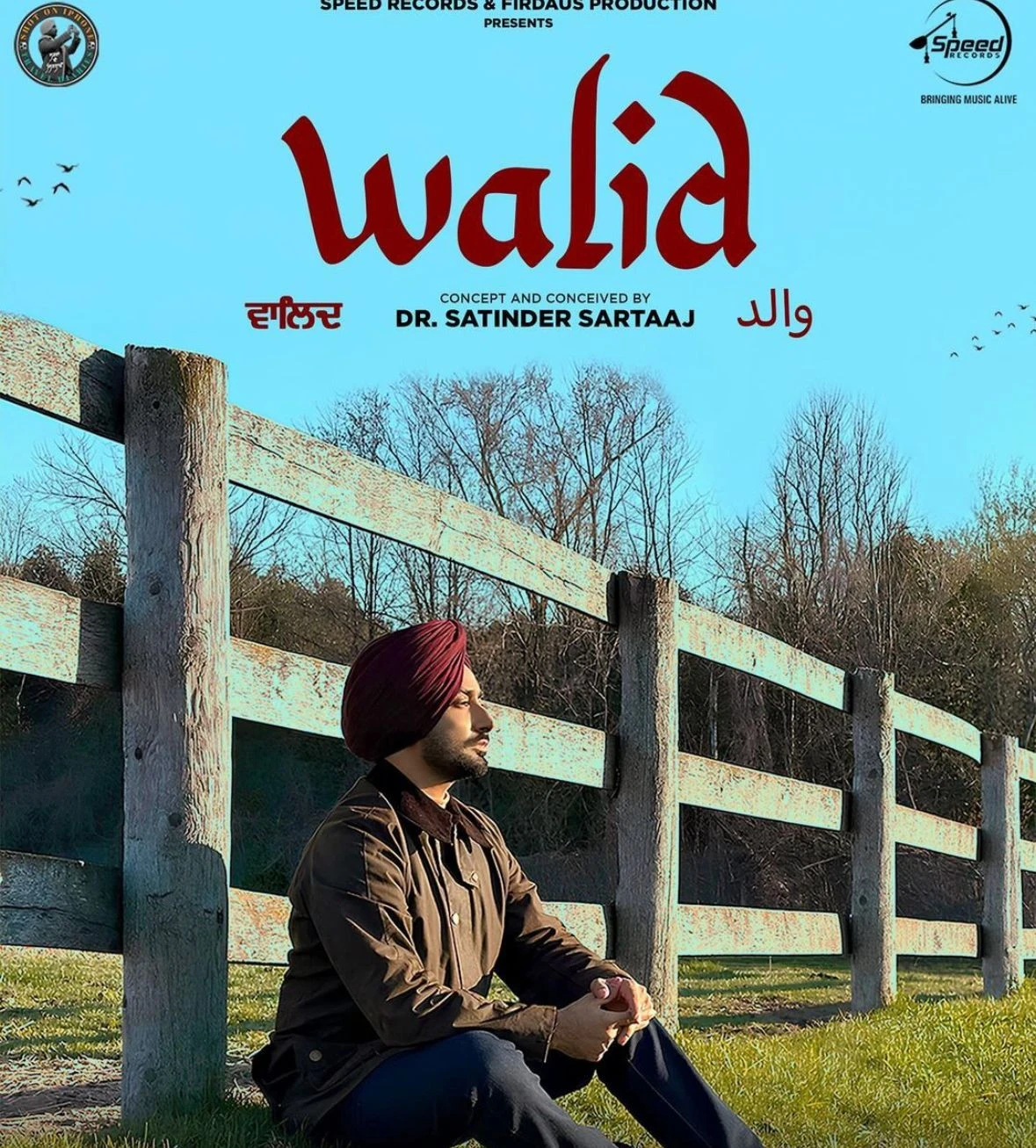 download Walid Satinder Sartaaj mp3 song ringtone, Walid Satinder Sartaaj full album download