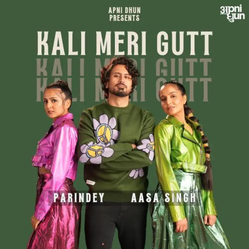 download Kali Meri Gutt Parindey, Aasa Singh mp3 song ringtone, Kali Meri Gutt Parindey, Aasa Singh full album download