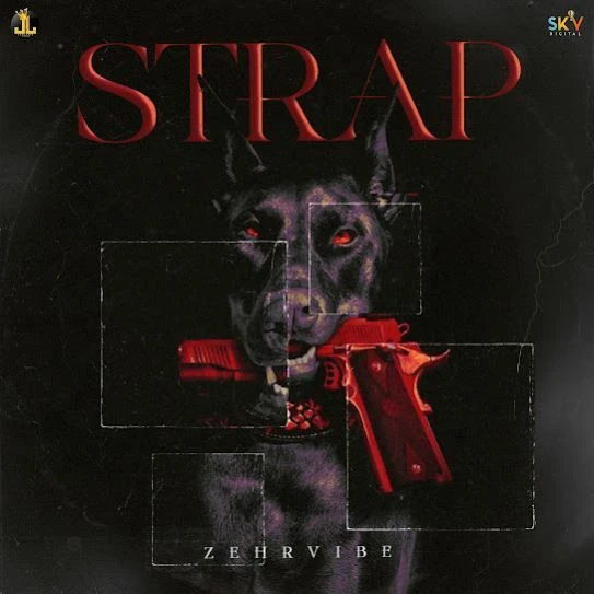 download STRAP Zehr Vibe mp3 song ringtone, STRAP Zehr Vibe full album download