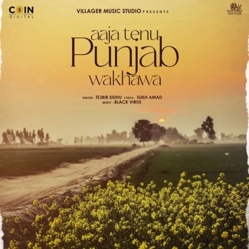 download Aaja Tenu Punjab Wakhawa Tejbir Sidhu mp3 song ringtone, Aaja Tenu Punjab Wakhawa Tejbir Sidhu full album download