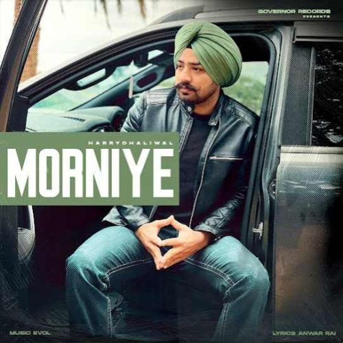 download Morniye Harry Dhaliwal mp3 song ringtone, Morniye Harry Dhaliwal full album download