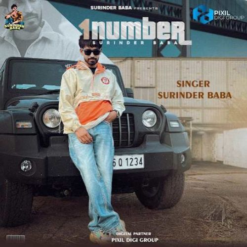 download 1 Number Surinder Baba mp3 song ringtone, 1 Number Surinder Baba full album download