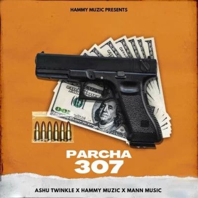 download Parcha 307 Hammy Muzic, Ashu Twinkle mp3 song ringtone, Parcha 307 Hammy Muzic, Ashu Twinkle full album download