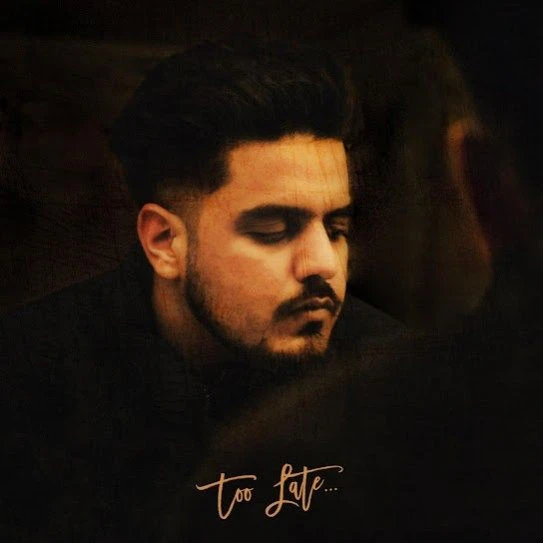 download Too Late Robyn Sandhu mp3 song ringtone, Too Late Robyn Sandhu full album download