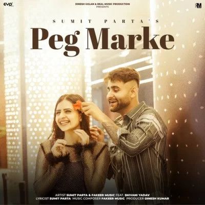 download Peg Marke Sumit Parta mp3 song ringtone, Peg Marke Sumit Parta full album download