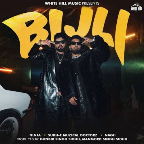 download Bijli Ninja mp3 song ringtone, Bijli Ninja full album download