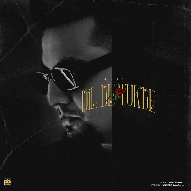 download Dil De Tukde A Kay mp3 song ringtone, Dil De Tukde A Kay full album download