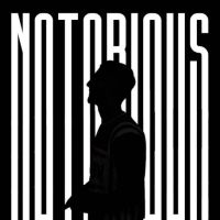 Download Notorious Sultaan full mp3 album
