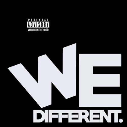 download We Different Wazir Patar mp3 song ringtone, We Different Wazir Patar full album download