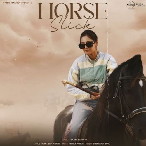 download Horse Stick Baani Sandhu mp3 song ringtone, Horse Stick Baani Sandhu full album download