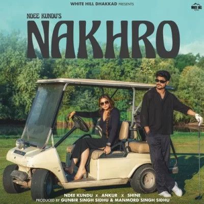 download Nakhro Ndee Kundu mp3 song ringtone, Nakhro Ndee Kundu full album download