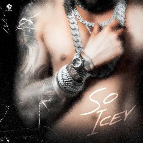 download SO ICEY Te-G Sandhu mp3 song ringtone, SO ICEY Te-G Sandhu full album download