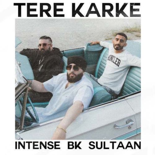 download Tere Karke BK, Sultaan mp3 song ringtone, Tere Karke BK, Sultaan full album download