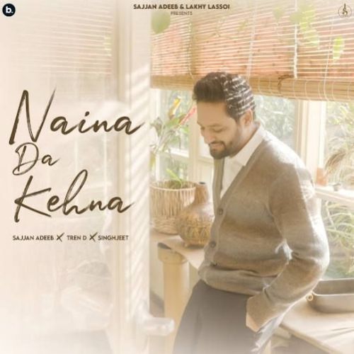 download Naina Da Kehna Sajjan Adeeb mp3 song ringtone, Naina Da Kehna Sajjan Adeeb full album download