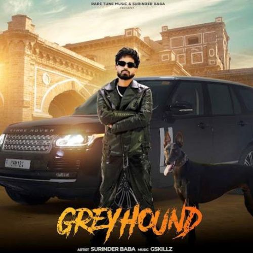 download Greyhound Surinder Baba mp3 song ringtone, Greyhound Surinder Baba full album download