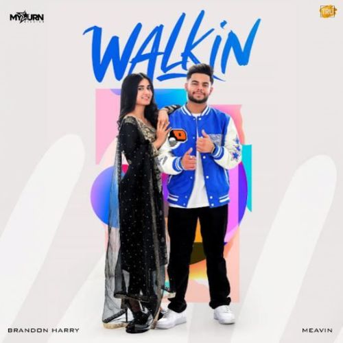 download Walkin Brandon Harry mp3 song ringtone, Walkin Brandon Harry full album download