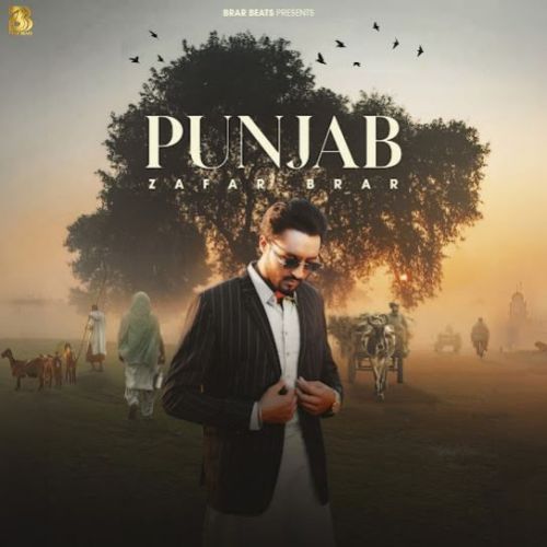 download Punjab Zafar Brar mp3 song ringtone, Punjab Zafar Brar full album download