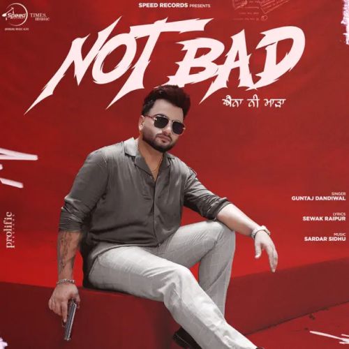 download Not Bad Guntaj Dandiwal mp3 song ringtone, Not Bad Guntaj Dandiwal full album download