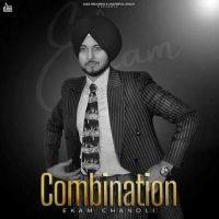 Download Combination Ekam Chanoli full mp3 album