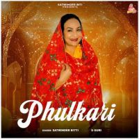 download Phulkari Satwinder Bitti mp3 song ringtone, Phulkari Satwinder Bitti full album download