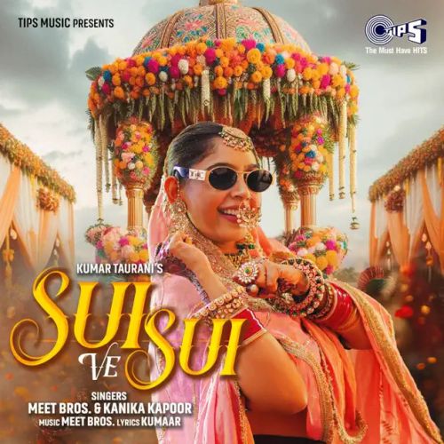 download Sui Ve Sui Meet Bros, Kanika Kapoor mp3 song ringtone, Sui Ve Sui Meet Bros, Kanika Kapoor full album download