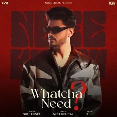 download Whatcha Need Ndee Kundu mp3 song ringtone, Whatcha Need Ndee Kundu full album download