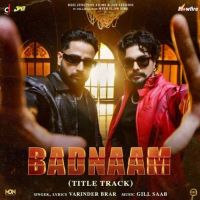 download Badnaam Varinder Brar mp3 song ringtone, Badnaam Varinder Brar full album download