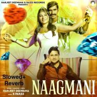 download Seene Se Laga Ke Rakhu Harjeet Deewana mp3 song ringtone, Seene Se Laga Ke Rakhu Harjeet Deewana full album download