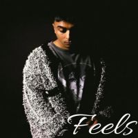 download Feels Gurinder Gill mp3 song ringtone, Feels Gurinder Gill full album download