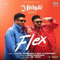 download Flex Guru Randhawa mp3 song ringtone, Flex Guru Randhawa full album download