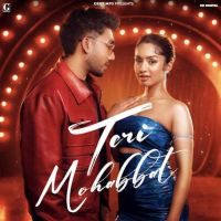 download Teri Mohabbat Musahib mp3 song ringtone, Teri Mohabbat Musahib full album download