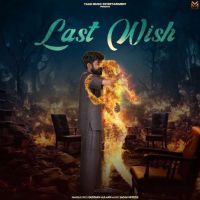 download Last Wish Gustakh Aulakh mp3 song ringtone, Last Wish Gustakh Aulakh full album download