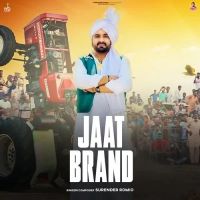 download Jaat Brand Surender Romio mp3 song ringtone, Jaat Brand Surender Romio full album download