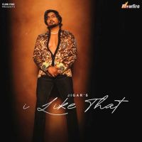 download I Like That Jigar mp3 song ringtone, I Like That Jigar full album download