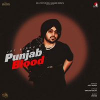 download Punjab Blood Jot Sidhu mp3 song ringtone, Punjab Blood Jot Sidhu full album download