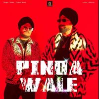 download Pinda Wale Turban Beats mp3 song ringtone, Pinda Wale Turban Beats full album download