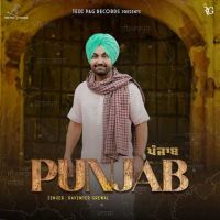 download Punjab Ravinder Grewal mp3 song ringtone, Punjab Ravinder Grewal full album download