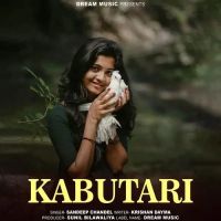 download Kabutari Sandeep Chandel mp3 song ringtone, Kabutari Sandeep Chandel full album download